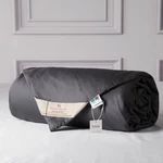 Cuddle Dreams Silk Comforter Tencel Lyocell Cover Natural Breathable Cooling. Fixed Price $255.93.