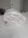Rachel Zoe Pink Floral Quilted Comforter Twin Cottagecore Shabby Chic 90X66. Fixed Price $85.00.