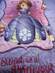 Disney Sofia The First, Sweet As Princess Toddler Comforter Htf 41 X 54. Fixed Price $53.59.