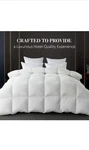 Whatsbedding King Feather Comforter, Filled With And Down, White Duvet. Fixed Price $59.00.