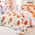 Queen Set 7 Pieces Reversible Size (88"X88"). Fixed Price $65.99.