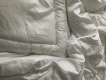 Buffy Breeze Comforter Brand New Very Cozy. Fixed Price $88.00.