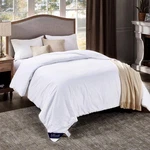 Mulberry Silk Comforter Queen Size Season, 100% Natural Long Strand S.... Fixed Price $199.00.