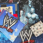Wwe Comforter Bedding Set John Cena Triple Undertaker Wrestling Blue Y2K Full. Fixed Price $59.99.