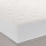 Sleep Number Climate Total Protection Mattress Pad - No Import Fees. Fixed Price $159.99.