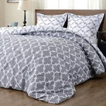 Downluxe Alternative Lightweight Reversible Comforter Set Gray White Queen. Fixed Price $24.99.