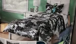 New 5 Piece Camouflage Twin Size Comforter Set Boy's Sheets Kid's Bed Bag. Fixed Price $29.95.