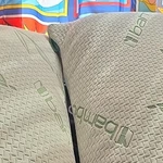 Easy Homegoods Set Of 2 Bamboo Leaf Pattern Pillows Beige Green Bedroom. Fixed Price $35.00.
