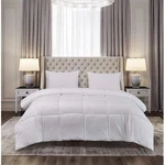 Royal Luxe Color Hypoallergenic Down Alternative Light Warmth Full/queen. Fixed Price $25.20.