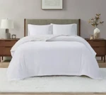 Charter Club Sherpa Plush Reversible Blanket Full/queen X90. Fixed Price $47.00.
