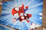 L7 Nwot Spider-man Reversible Toddler Bed Microfiber Comforter Blanket Spiderman. Fixed Price $45.50.