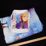 Disney Frozen 2 Bedding Twin Set-comforter, Pillow Case, Fitted Sheet, Top. Fixed Price $22.00.