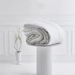 Yves Delorme Prestige Hungarian White Goose Down Comforter Different Seasons. Fixed Price $995.00.