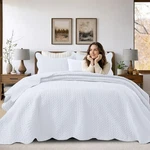 All Season Bedspread Quilt Bedding Set Soft Reversible Cooling Comforter. Fixed Price $25.16.