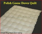 Single Bed Quilt 95% Polish Goose Down Spring/autumn Duvet Comforter Sale. Fixed Price $271.73.