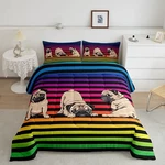 Manfei Cute Pug Dog Print Comforter Set Queen,rainbow Stripes Quilt Kawai.... Fixed Price $47.40.
