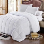 Golinens Hypoallergenic Goose Down Feathers Comforter/duvet Insert. Fixed Price $97.99.