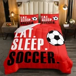 Feelyou Football Comforter Soccer Sports Bedding Set Boys Girls Wome.... Fixed Price $31.57.