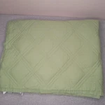 Lands' End Twin Green Feather Down Comforter. Fixed Price $99.00.