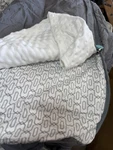 Beddys Reese Gray Minky Twinxl Bedding Set. Fixed Price $120.00.