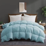 Blue Noise Free Oversized Down Feather Bed Blanket , King Queen Comforter Cozy. Fixed Price $70.99.