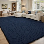 Large Rainbow Plush Shaggy Area Rug Soft Non-slip Floor Carpet. Fixed Price $90.99.
