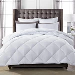 Decroom Lightweight Queen Comforter Set With 2 Pillow Sham - 3 Pieces. Fixed Price $40.59.