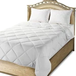 Mastertex Down Alternative Quilted Bed Comforter White. Fixed Price $39.99.