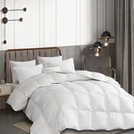 Goose Down Fiber Comforter Twin Size All Seasons Duvet Insert Ultra-soft 1C.... Fixed Price $128.45.