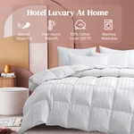 King Queen Size Natural Down Feather Comforter Year Round 500TC Cotton Cover. Fixed Price $87.99.