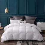 Globon Goose Down Comforter California King Size All Season Duvet INSERT,400 .... Fixed Price $357.10.
