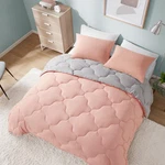 Spaces Vixie 3-PIECE Comforter Set. Fixed Price $28.49.