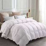 Balichun Down Comforter (white, King). Fixed Price $149.00.