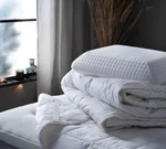 Comfy Comforter: Delight - Ultra Soft Down Comforter, Lightweight & Breathable. Fixed Price $19.99.