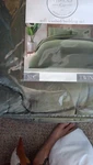 Thread Soft Washed Twin Bedding Set 5PC Dark Green Comforter Sham Sheets. Fixed Price $21.99.