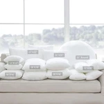 New -- 2 Pack Longhui Bedding Pillow Inserts / Cushion Throw Covers. Fixed Price $15.99.