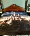 Nwot Castle Queen Duvet Quilt Cover W/2 Pillowcases And Shams. Fixed Price $9.99.