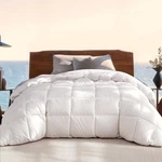 Ultra-soft Queen Goose Down Comforter, All-season Luxury Duvet Insert. Fixed Price $115.99.