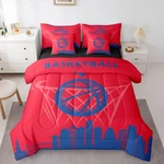 Erosebridal 7 Pcs Comforter Set Twin Sizebasketball City Bed Bag Flat. Fixed Price $99.73.