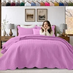 All Season Bedspread Quilt Bedding Set Soft Reversible Cooling Comforter. Fixed Price $25.16.
