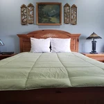 Home Classics King Comforter Modern Down Alternative Reversible Green Navy Blue. Fixed Price $26.21.