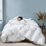 Bella Sonni Hotel-quality All-season Down Comforter King Size Lightwei. Fixed Price $177.33.