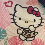 Hello Kitty Friends Twin Reversible Comforter Pink And White Sanrio Bedding. Fixed Price $32.87.