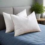 2PCS Soft To Medium Support Feather Bed Pillows King Queen, Anti Poke. Fixed Price $65.99.