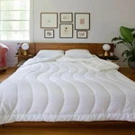 Buffy Breeze Comforter, Queen, 100% Eucalyptus Lyocell, Cool-to-the-touch, White. Fixed Price $194.00.