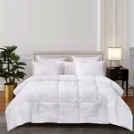 Martha Stewart 100% Cotton White Feather And Down Comforter (queen). Fixed Price $97.99.