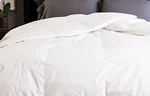 Allied Essentials Cotton Damask Down Comforter Full Queen 550 Fp Year Round. Fixed Price $155.00.