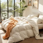 90%FEATHER 10%DOWN Comforter Queen Size Lightweight Bedding W/ 100% Cotton Cover. Fixed Price $79.99.