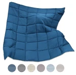 Pillowtex Dream In Color All Season Down Alternative Comforter - Customer Return. Fixed Price $50.00.