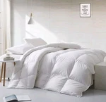 Apsmile Twin Size Lightweight Feathers Down Fiber Comforter. Fixed Price $59.95.